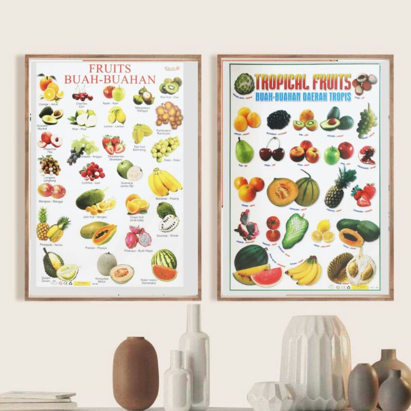 POSTER PENDIDIKAN EDUKASI MAINAN BELAJAR ANAK USIA BALITA PAUD/TK/SD BUAH-BUAHAN