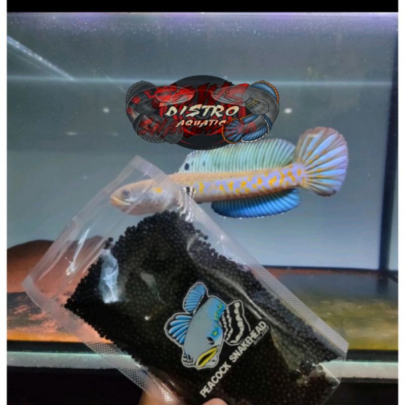 Pelet Virus Fajar Arief Original by FAJAR ARIEF