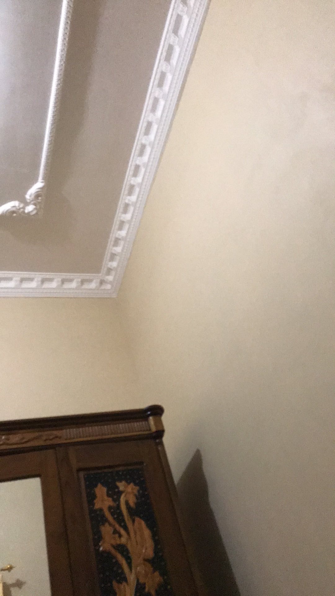 Mopqueen Mop Queen Duo Pel Lantai Stein Steincookware Sponge Chamois