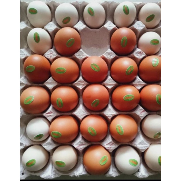 

Telur paket cinta (16 butir telur negri OMEGA + 13 butir telur kampung Omega)