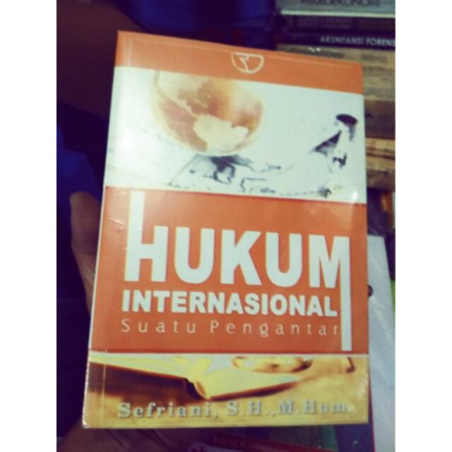Hukum internasional pengarang sefriani