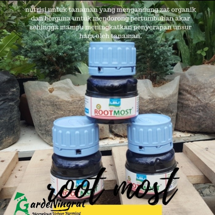 Rootmost Obat Akar Hormon Pertumbuhan Vegetatif Stek Tanaman 100mL