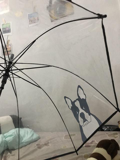 Payung Tongkat Transparant Mangkok  Motif Anjing Kucing - 75002