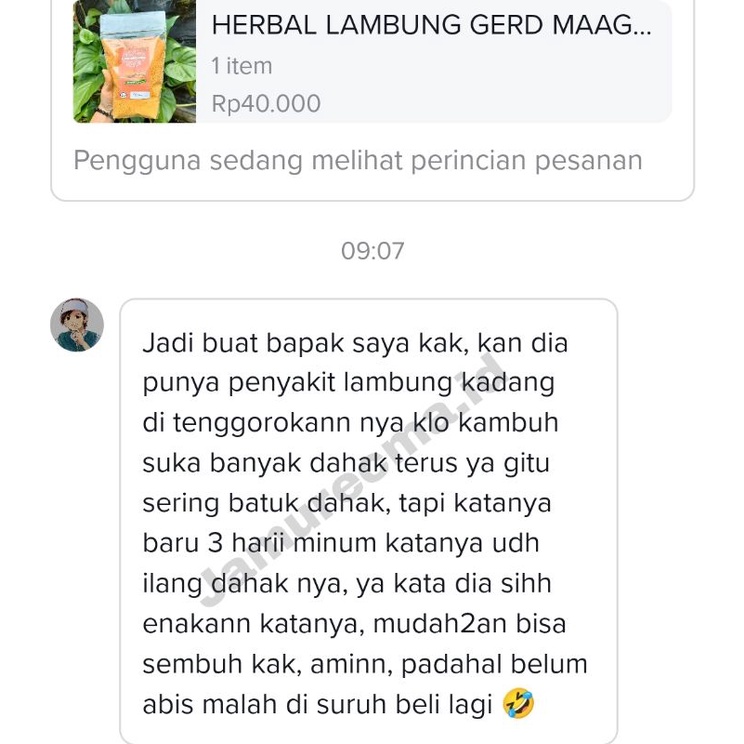 obat lambung liver dan gerd  temulawak instan 250gr