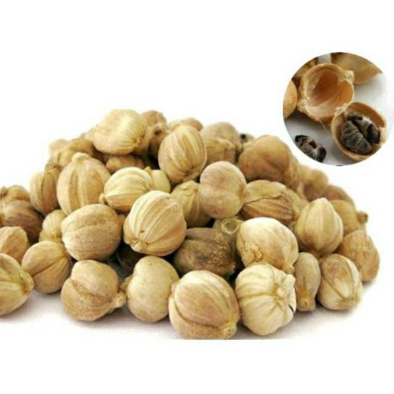 

Kapulaga kapol kapolaga kering 150 gram original