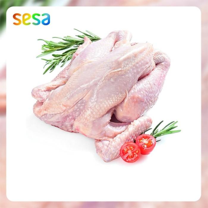 

Ayam Kampung Organik Beku berat 0.7 - 0.8 kg Best Seller