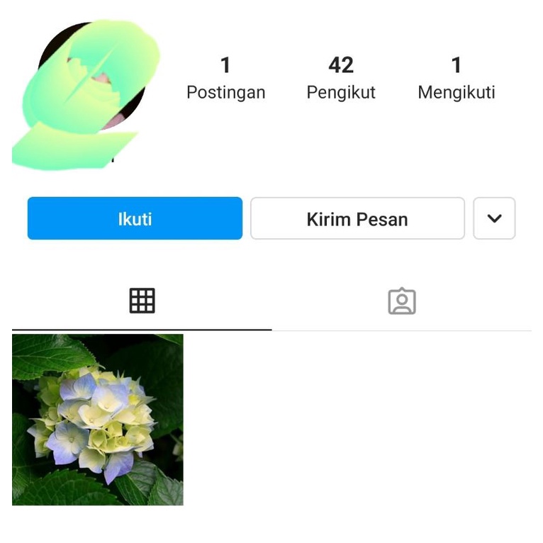 Jual Akun Instagram Murah /Akun IG Fresh