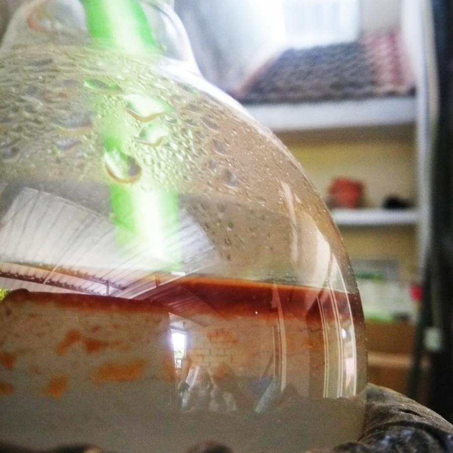 MINYAK GAHARU ORIGINAL PREMIUM