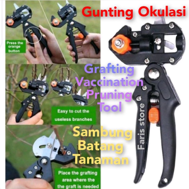 Gunting okulasi untuk berkebun