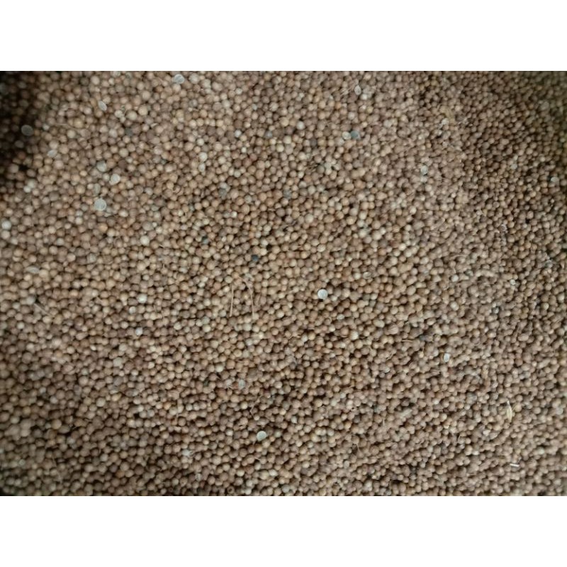 

Biji ketumbar hitam asli 1 kg