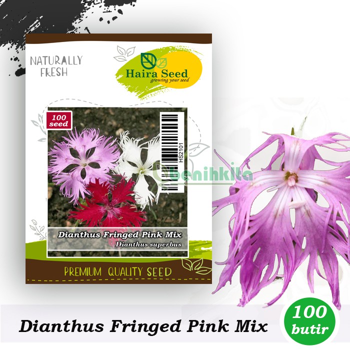 Benih-Bibit Bunga Dianthus Fringed Pinks (Haira Seed)