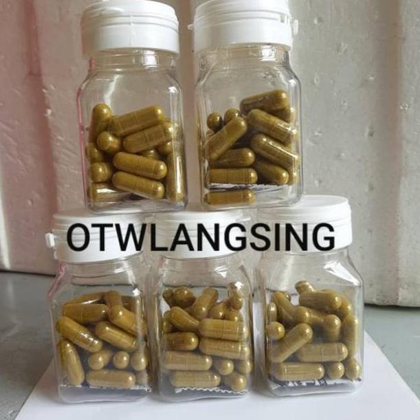 DECEMBER DISCOUNT Pelangsing Pinky Kapsul Hijau Otwlangsing Fiber Booster Magic Mejik NR ODD ODH Slim Obat Diet dokter