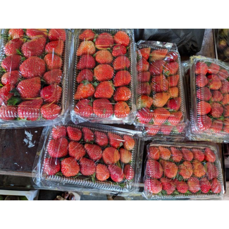 

buah strawberry bandung