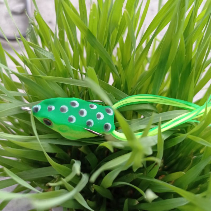 Umpan pancing soft frog kodok karet / kodok / umpan ikan gabus / soft lure kodok mini 3,5cm 5gr