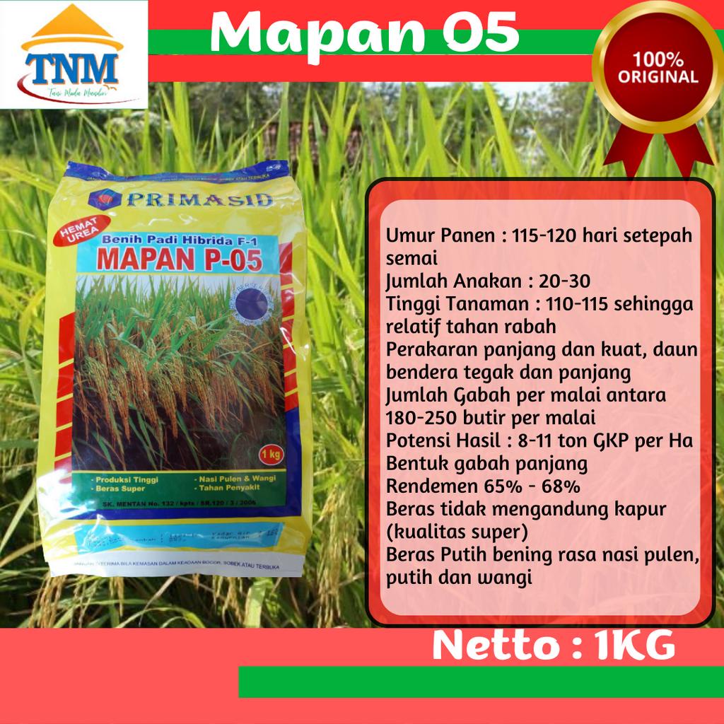 Biji Padi Mapan 05 Bibit Unggul 1kg