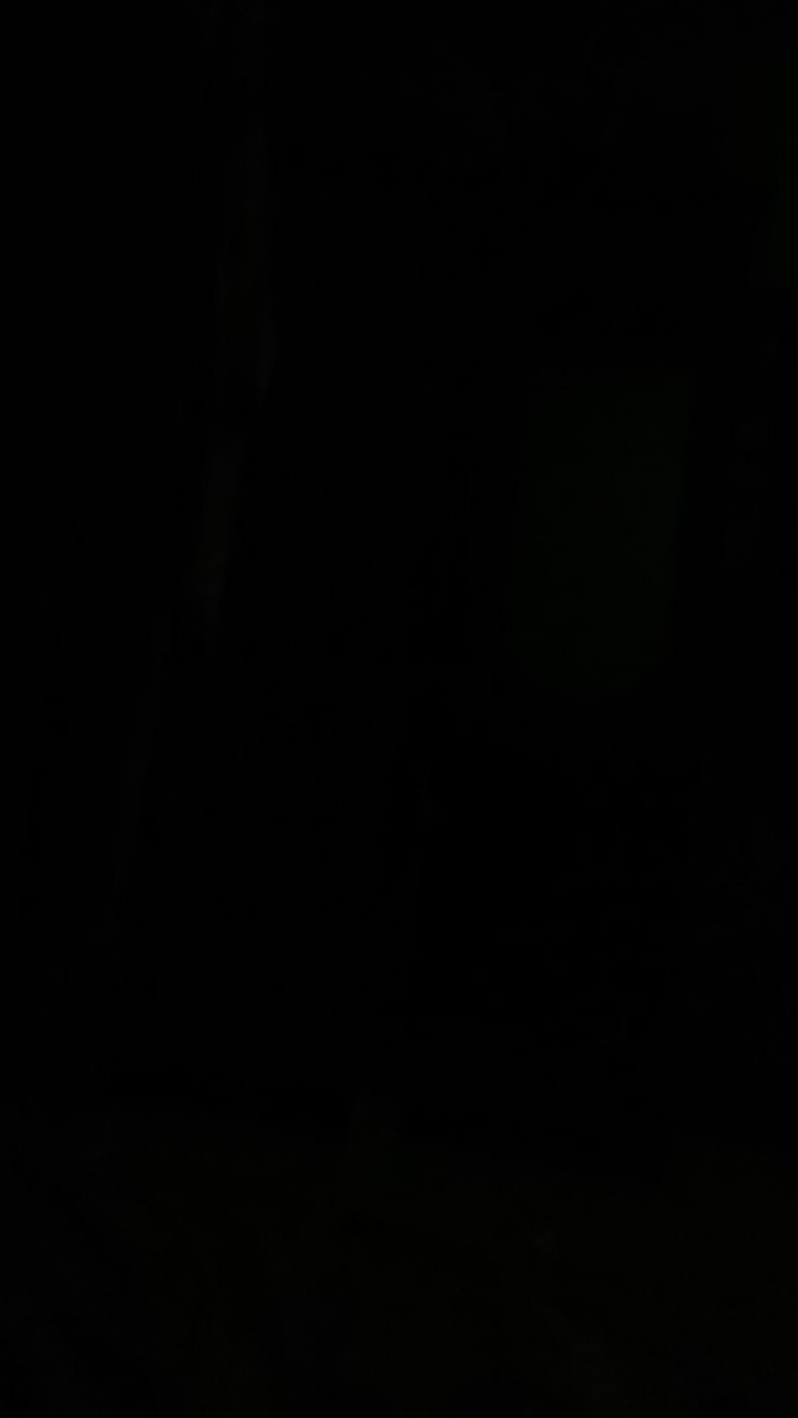 Bswart Batik Hrb026 Kenongo Hem Pendek Padi Pekalongan M L Xl Batik Pria Murah Modern Grosir