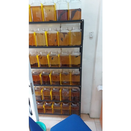 rak 5 susun toples 4 ltr