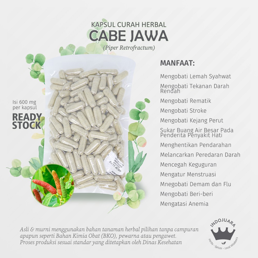 

CABE JAWA 100 Kapsul Curah Herbal Lemah Syahwat Darah Rendah SakitGigi