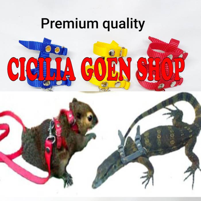 Mini harness H tali tuntun hewan kecil pengikat sugar glider reptil musang tupai bajing kekang badan