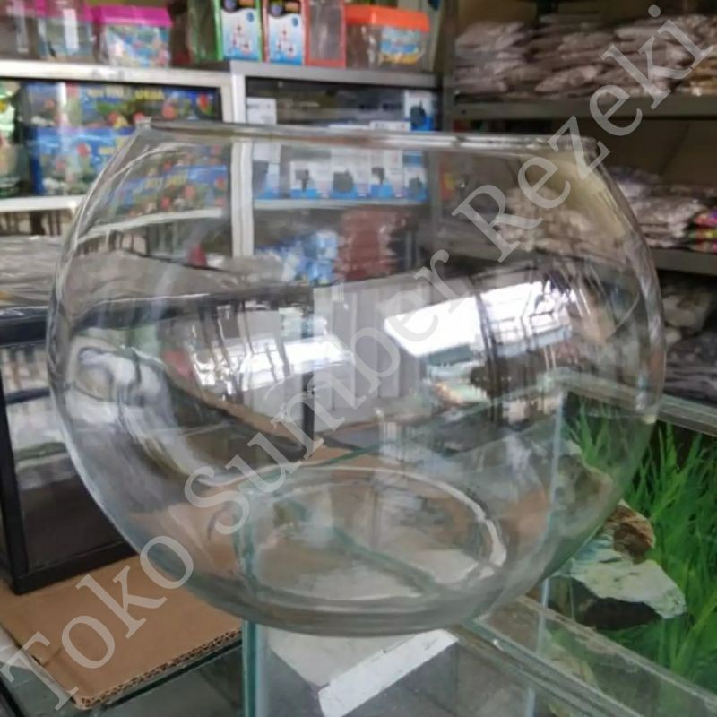 Aquarium Bulat Kaca Beling 20 CM Tangki Bening Aquascape Lingkaran