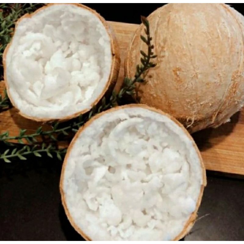 

Kelapa Kopyor (oleh-oleh pati)