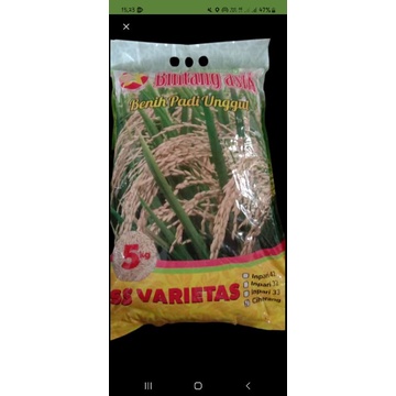Benih Padi Ciherang 5 kg