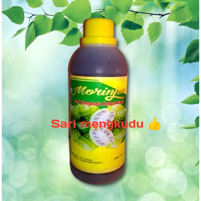 HERBAL JUS MENGKUDU MORINJUS SARI MENGKUDU