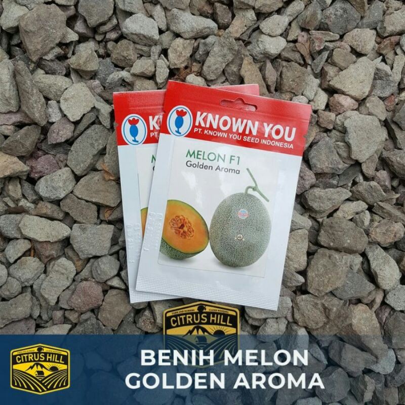 Benih Melon Golden Aroma Known You Seed SP
