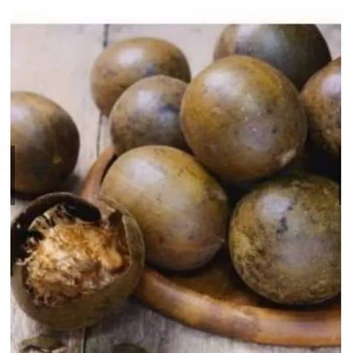 

SGS BUAH LO HAN KUO JUMBO obat panas dalam sakit tenggorokan 3 pcs