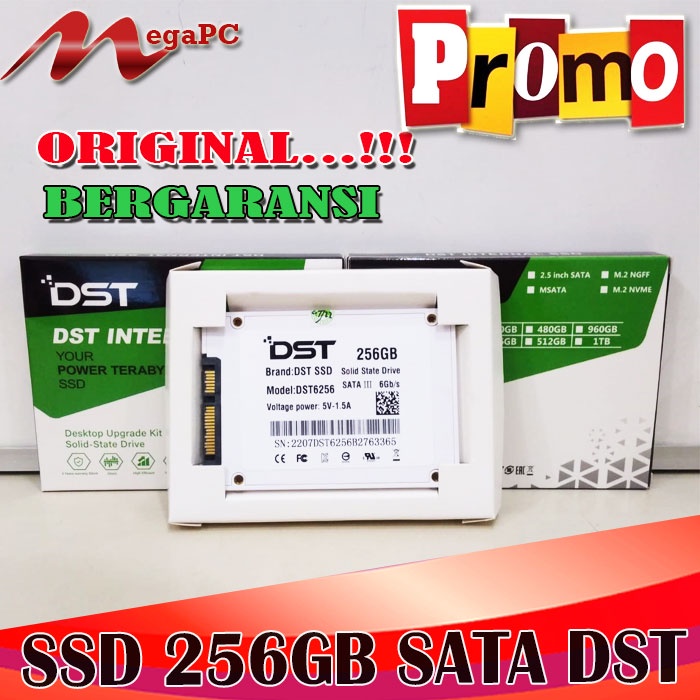 Promo SSD 256GB Merk DST