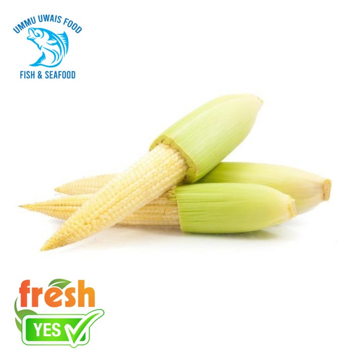 

Jagung Muda Kecil Segar - 500 Gram