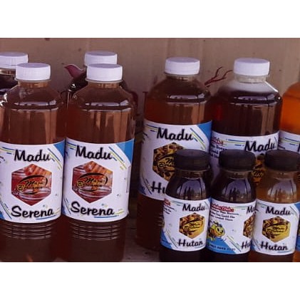 

Madu trigona