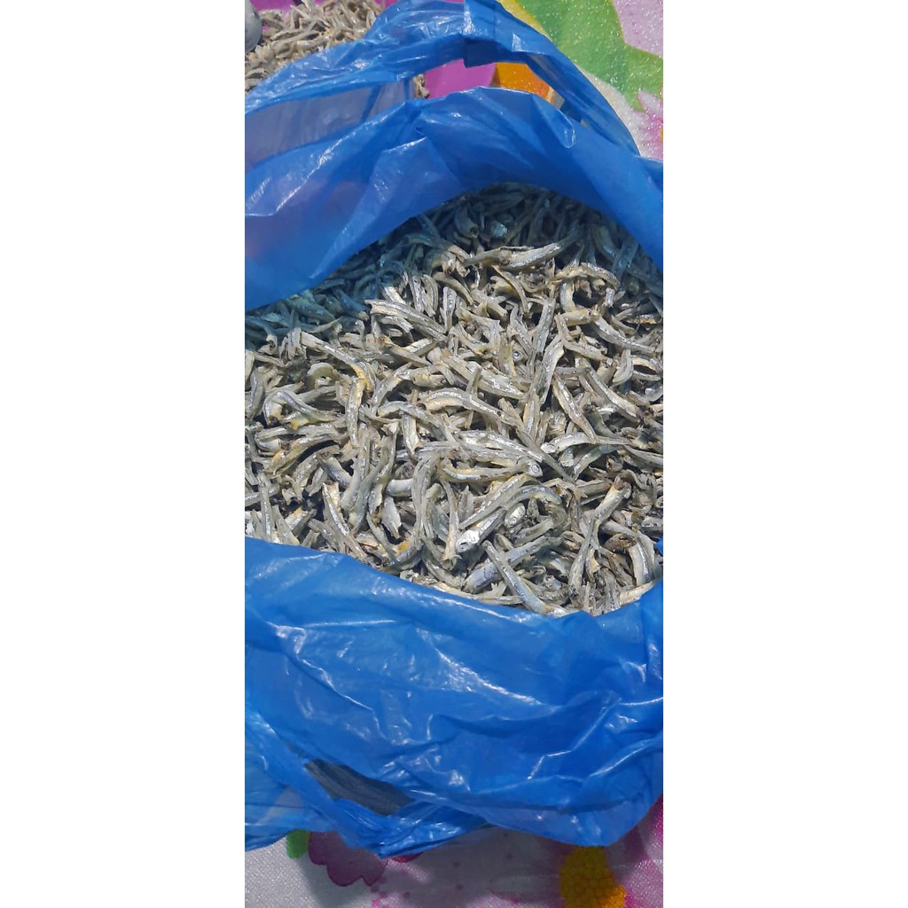 

IKAN TERI MEDAN BELAWAN
