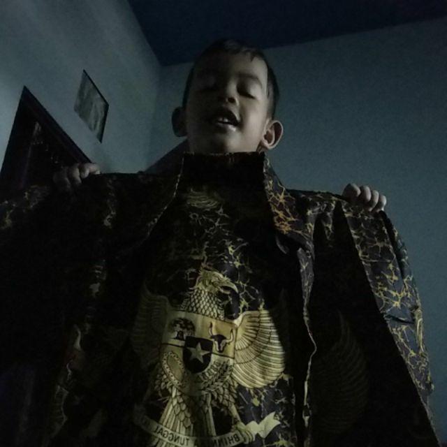 Kemeja Batik Pria Ppbtk07 Modern Lengan Panjang Casual Modis Trendy Masa Kini M L Xl Asli Pekalongan