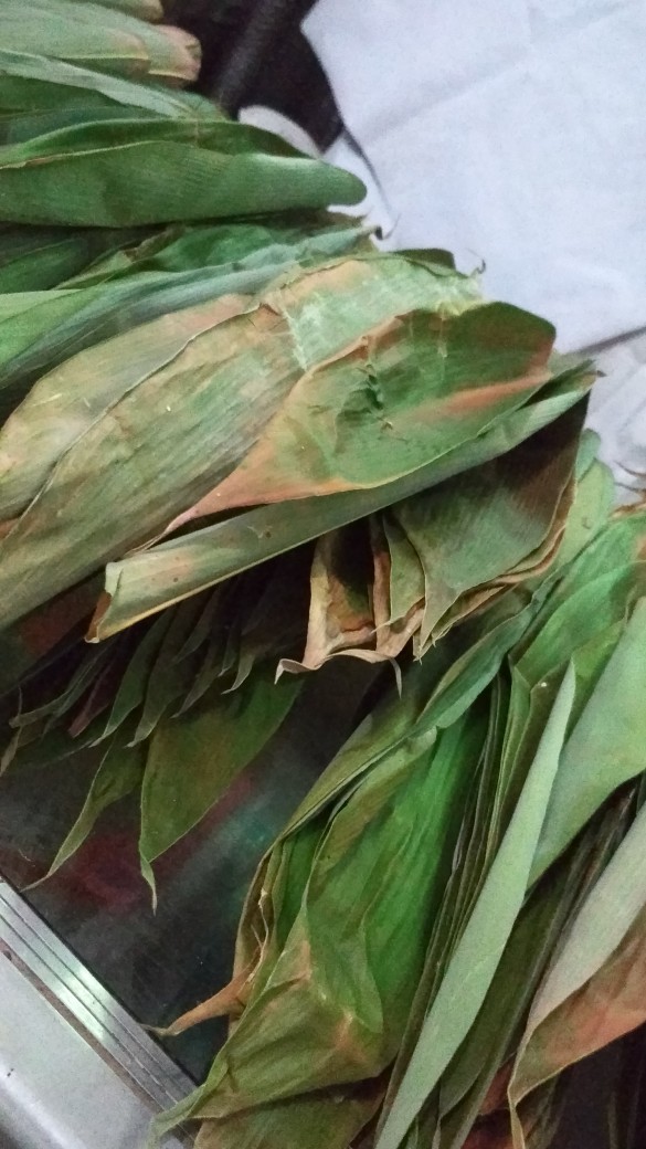 Daun Bambu Segar Per  1 Kg Bakcang. Bacang.