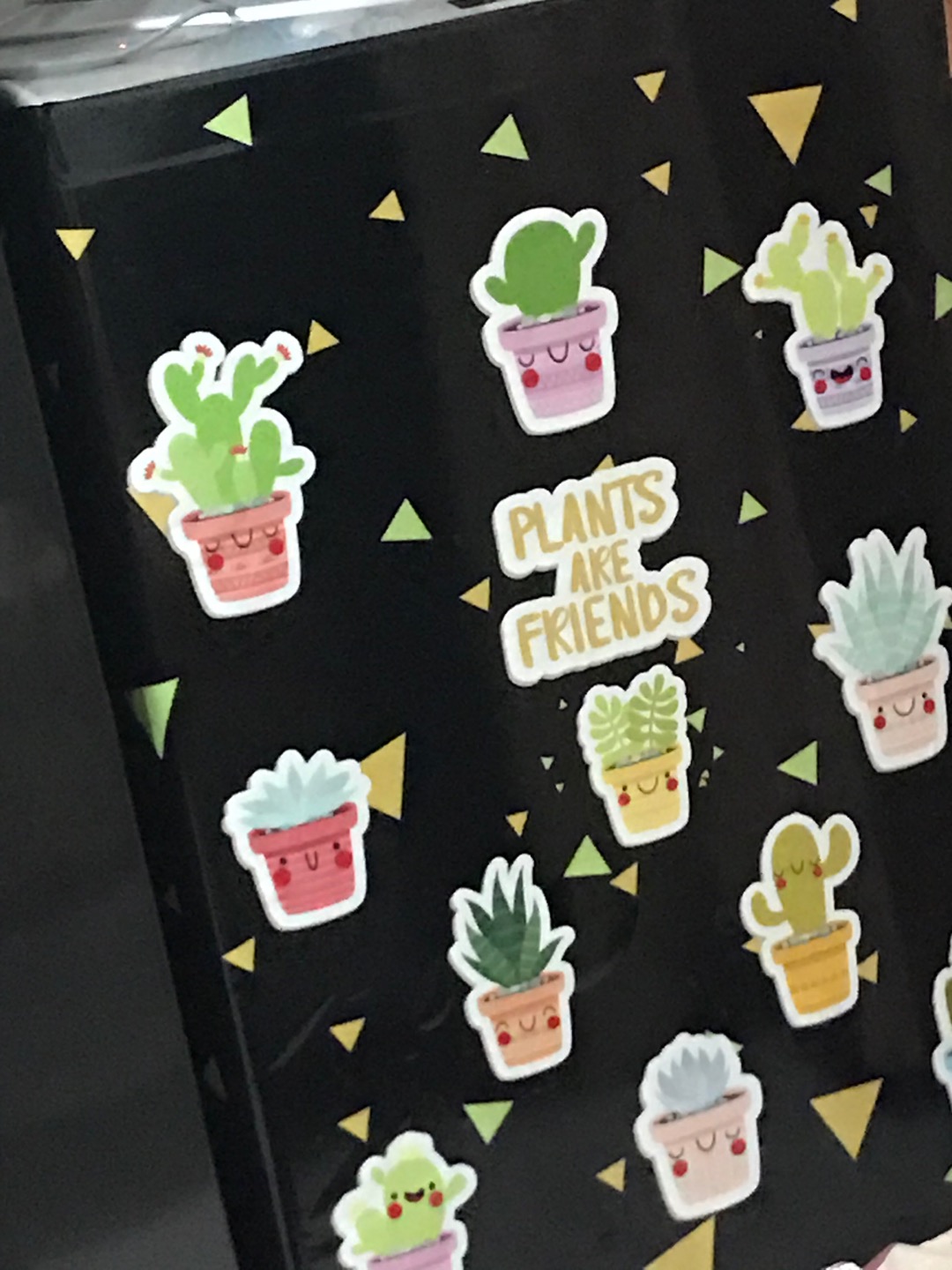 Stiker Mesin Cuci 2 Tabung A (80cm X 85cm) - Cactus 1 (sticker Mesin Cuci)