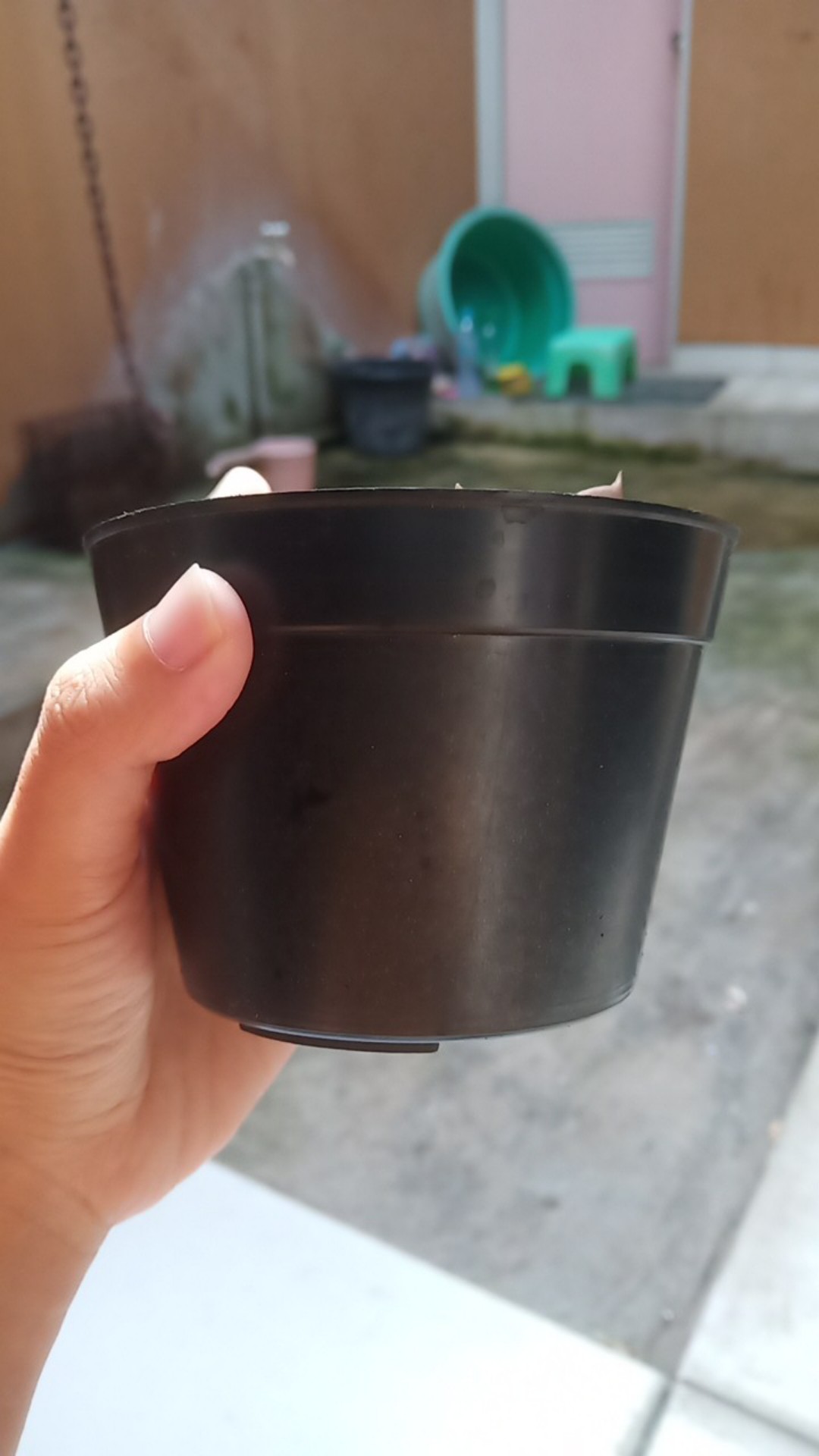 Pot Hitam 10 Cm