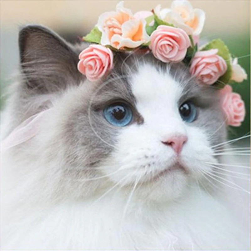 88 Gambar Mosaik Hewan Kucing HD Terbaik