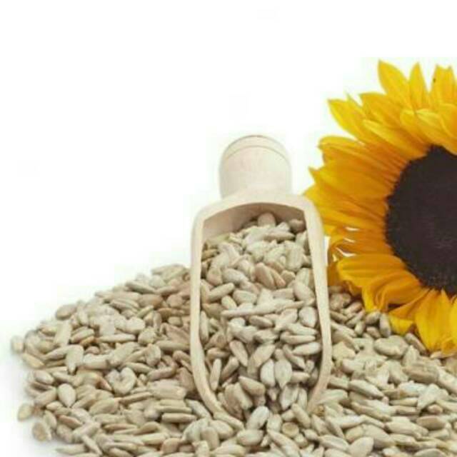 

Type 2 ~ Kuaci Kupas Mentah 100 Gram