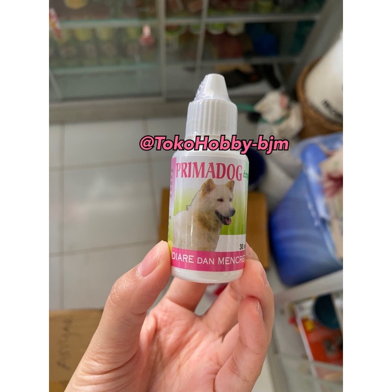 primadog diare anjing - prima dog obat diare mencret kembung anjing &amp; puppy - prima dog anjing