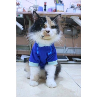 Kaos hoodie full biru list biru laut untuk kucing dan anjing size S M L XL (KODE 3154)