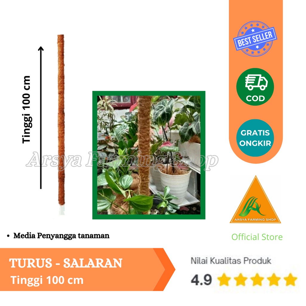 Turus Sabut 100cm Penyangga Tanaman / Bunga