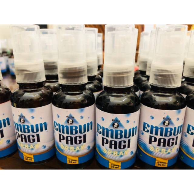 READY EMBUN PAGI SPRAY