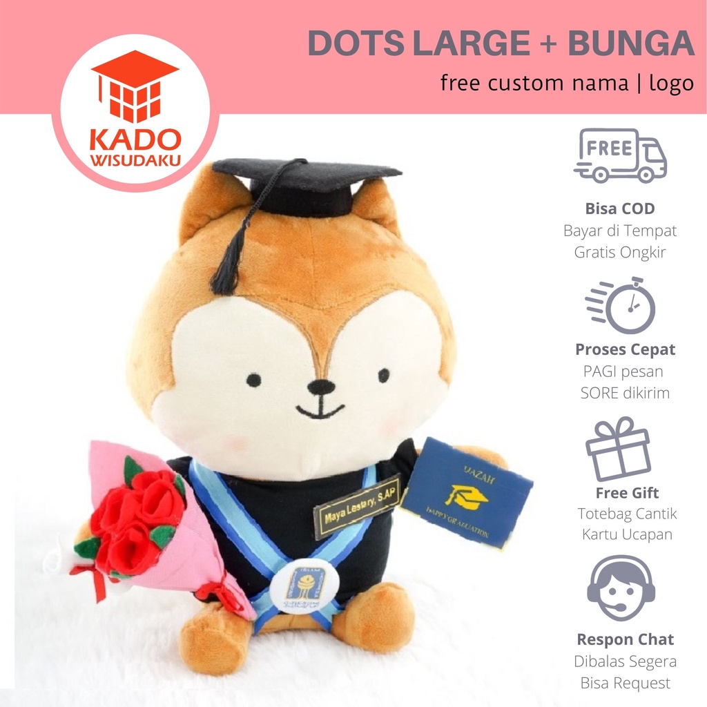 Boneka Wisuda  Descendants Of The Sun / DOTS Large dengan Mini Bunga