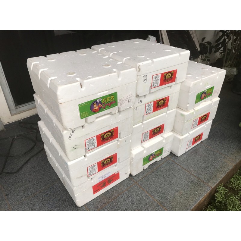 Box styrofoam hidroponik medium versi 1, ukuran 43.5x36.5x17cm (box anggur)