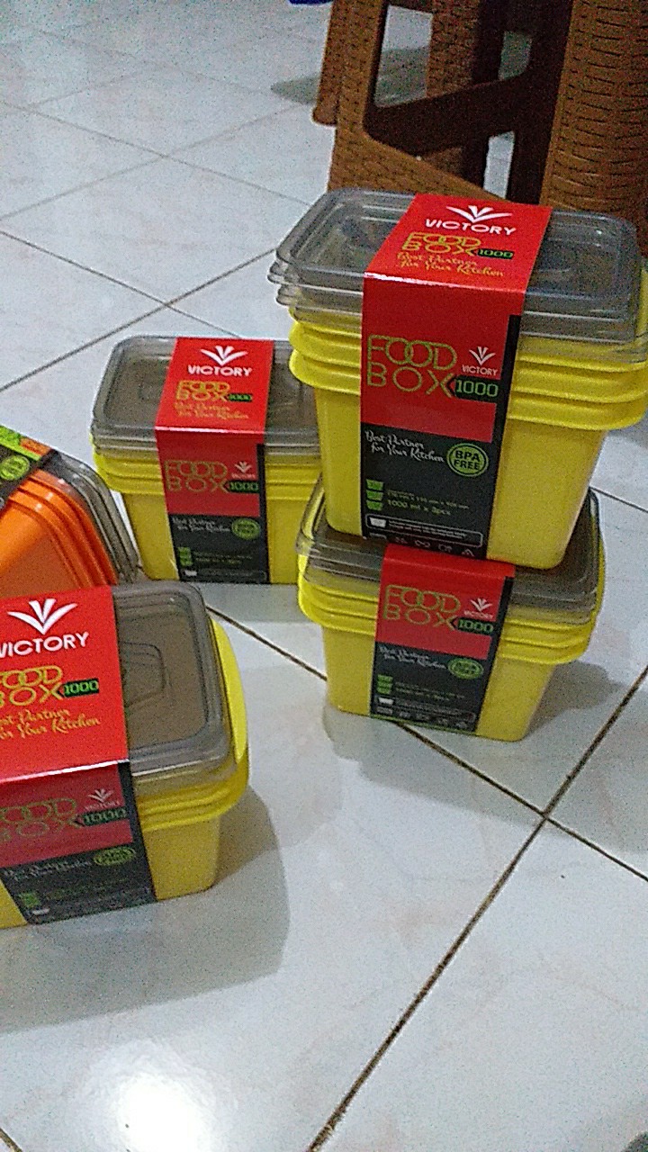 Kotak Makan 500ml Victory Food Box - Paket Hemat