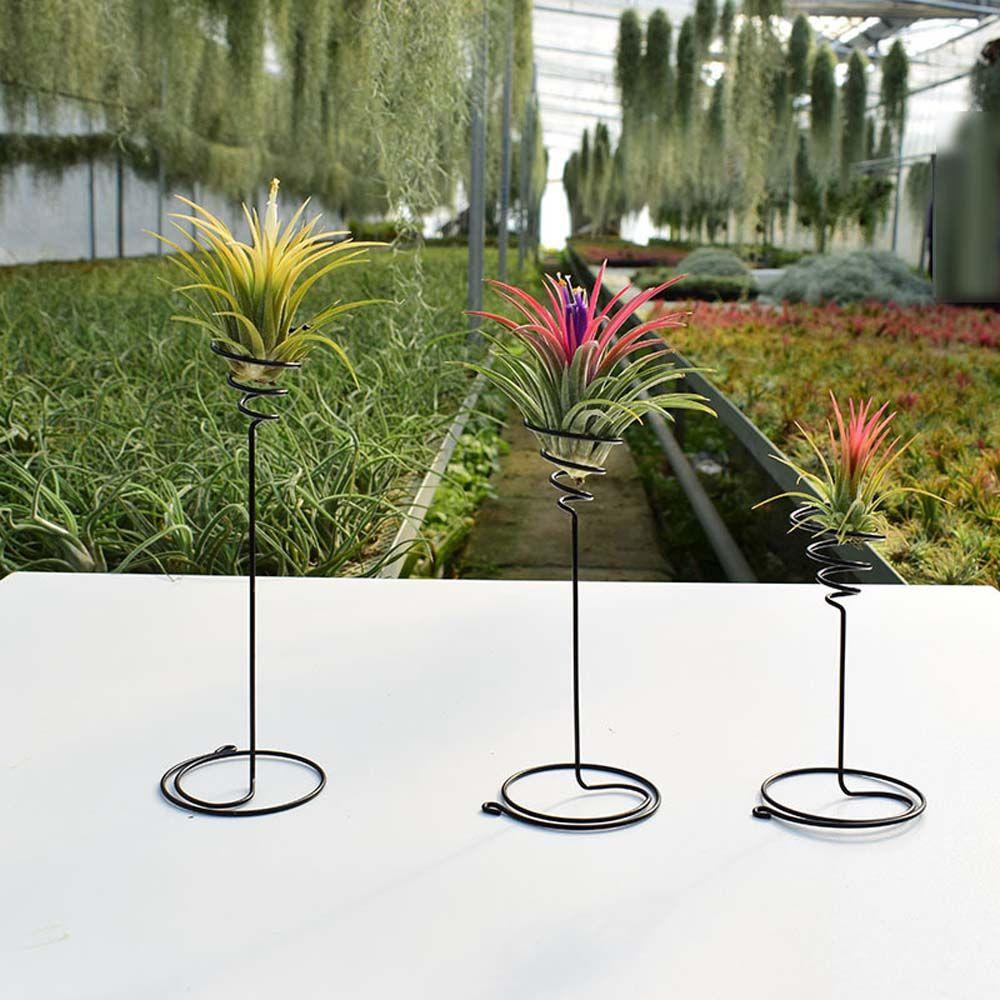 [Elegan] Air Plant Pot Stand Mini Metal Vase Holder Decor Display Rak Wadah