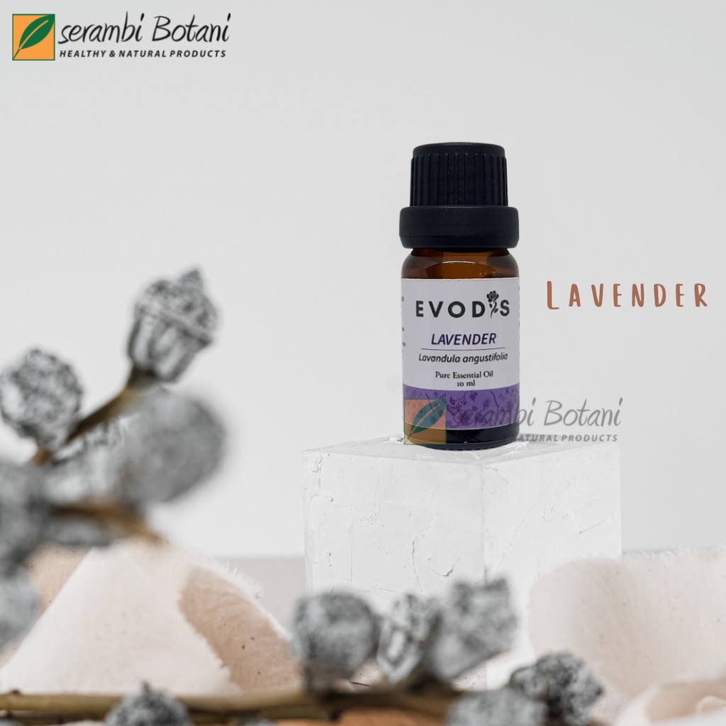 Essential Oil & Aromatheraphy Evodis  Lavender 10ml