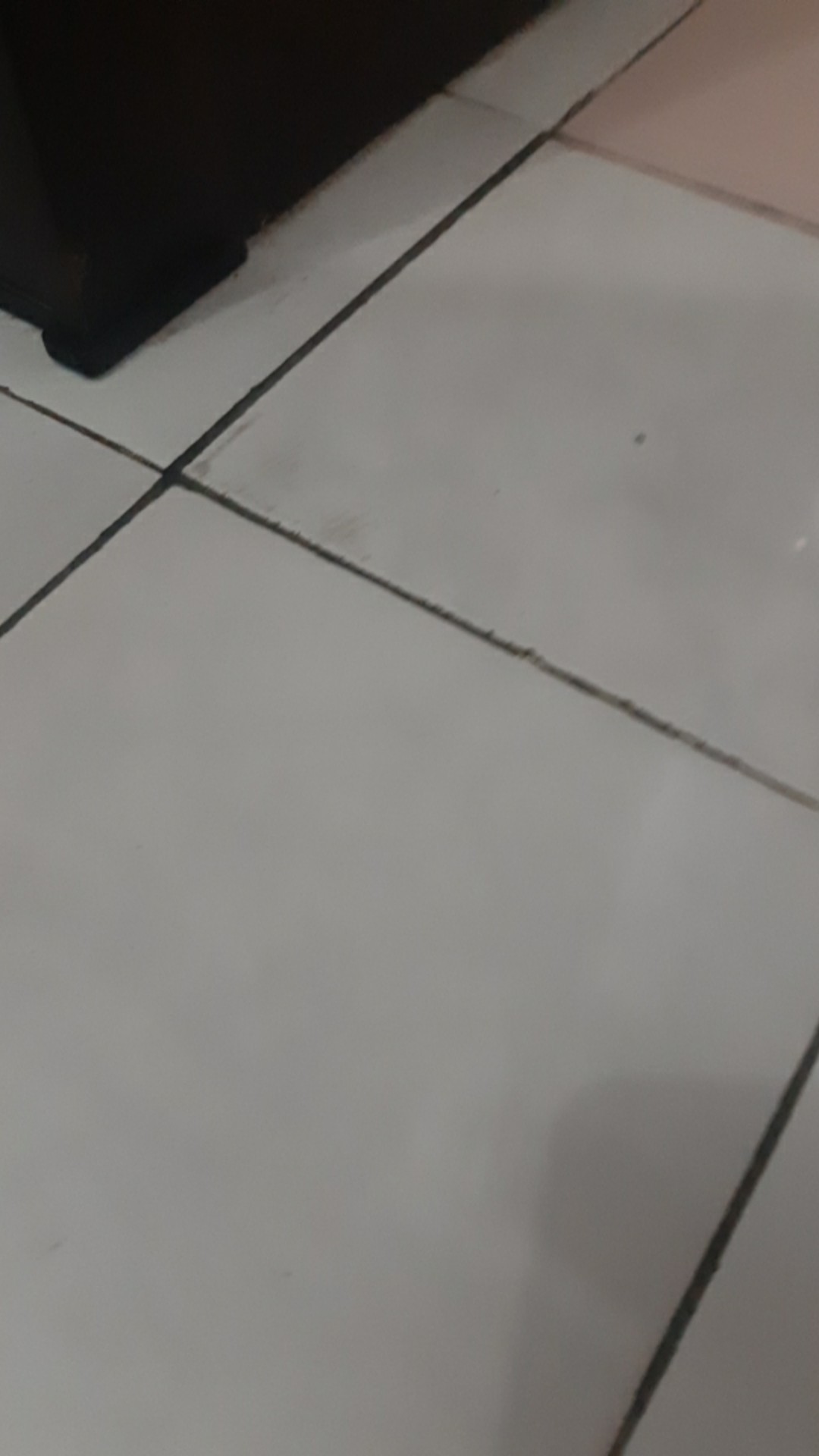 Nepel / Double Nepel Nepel Kuningan Forking Sock Drat Luar 1/2inch Mgj