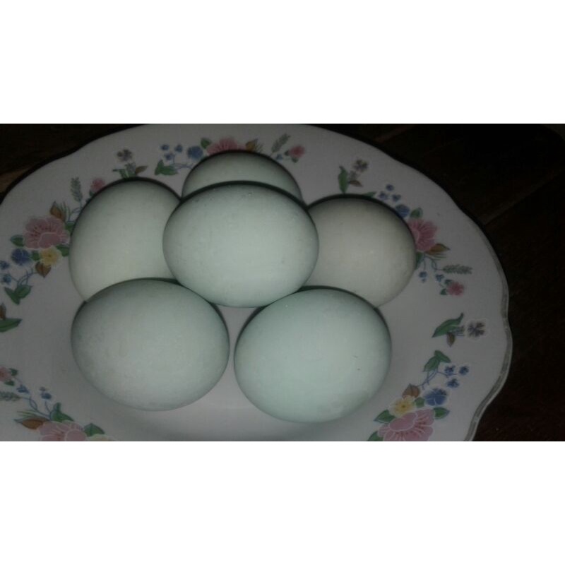 

Telur asin bebek